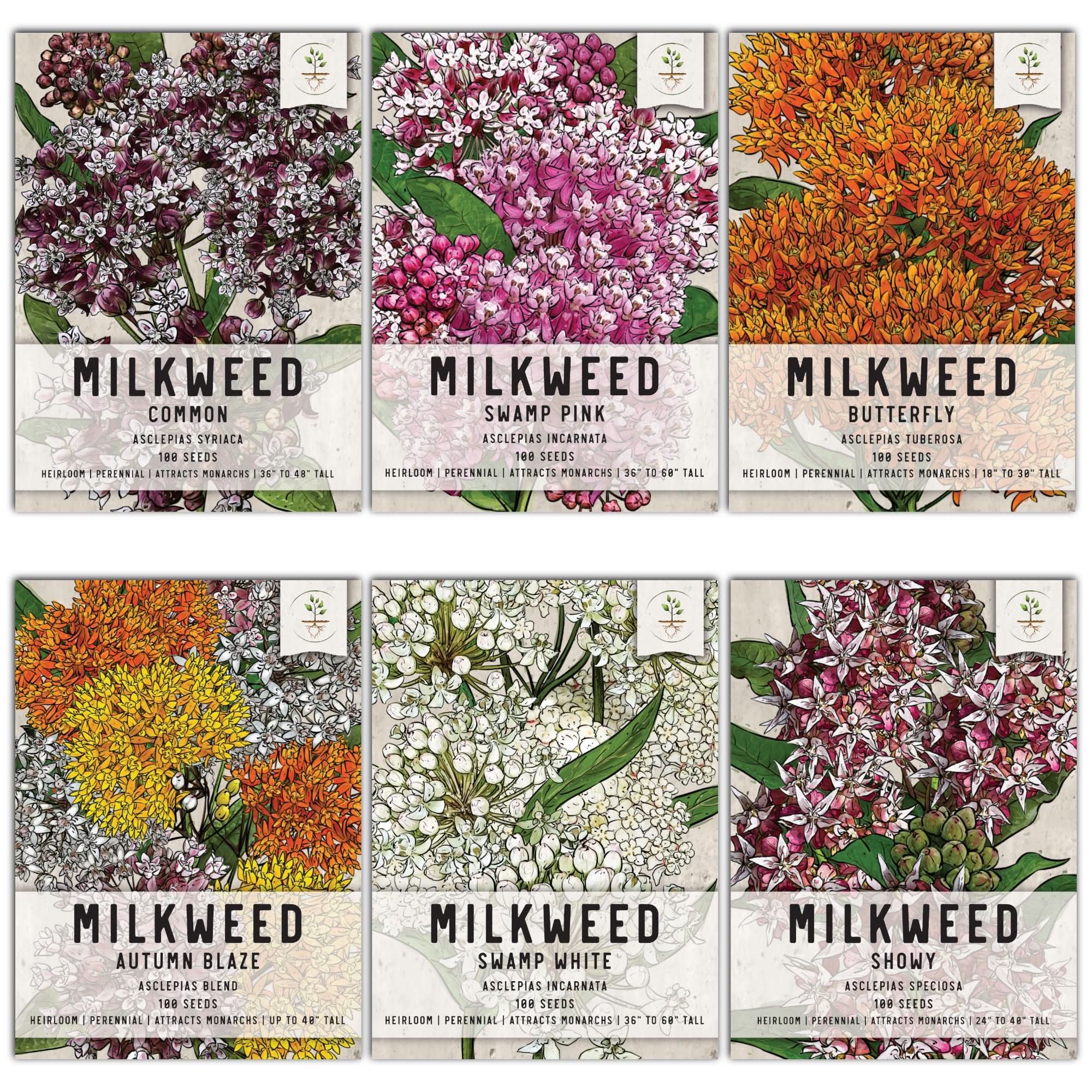 Milkweed Seed Collection