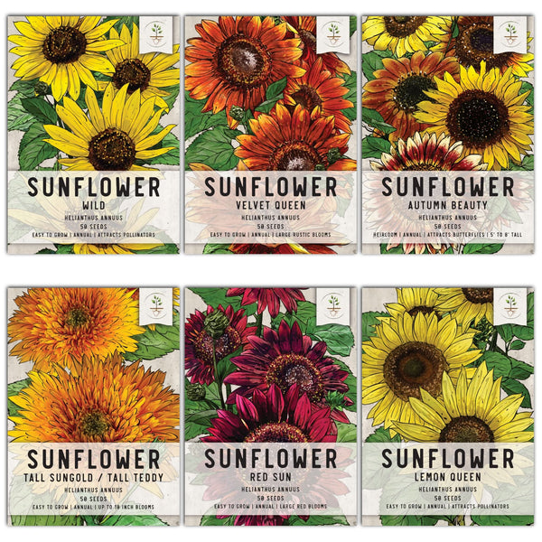 flower seed packets bulk Sunflower Seed Collection – Seed Needs LLC