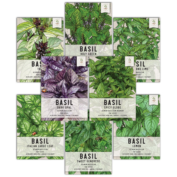 Basil Herb Bundle (Includes 36 Starter Pots, 1 Coco Coir Brick & 8 Basil Herb Seed Packets)
