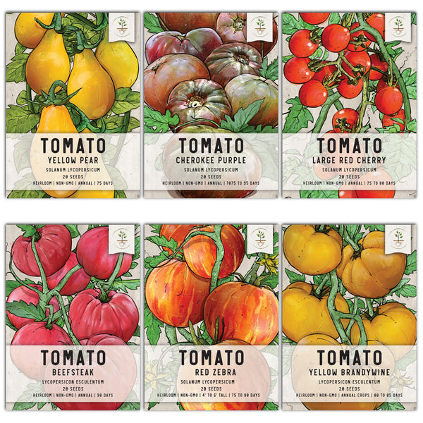 Multicolor Tomato Seed Collection