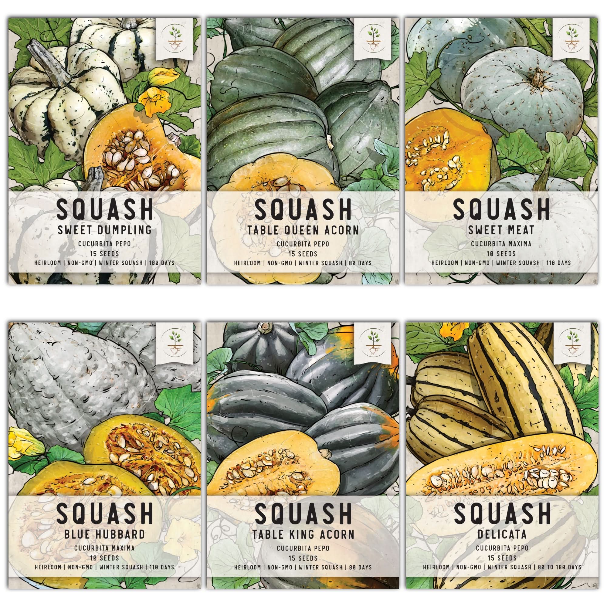 squash plant seeds Winter Squash Seed Collection – Seed Needs LLC