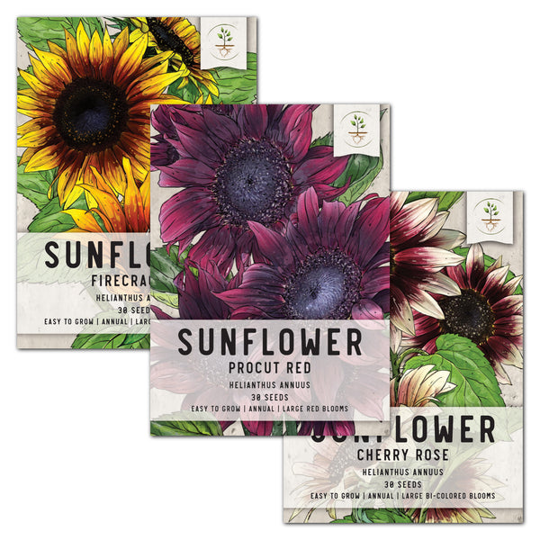 Multicolor Hybrid Sunflower Collection