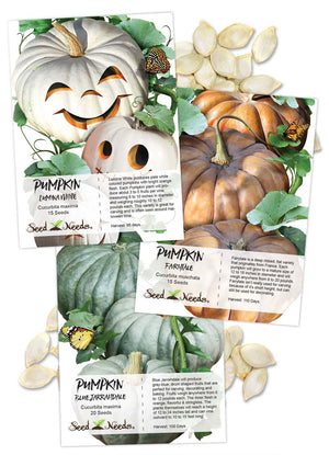 Specialty Pumpkin Seed Collection