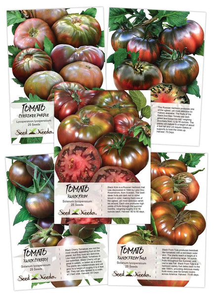 Black Tomato Seed Collection