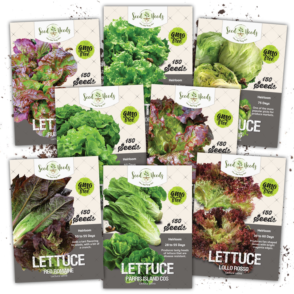 Lettuce Lovers Seed Collection