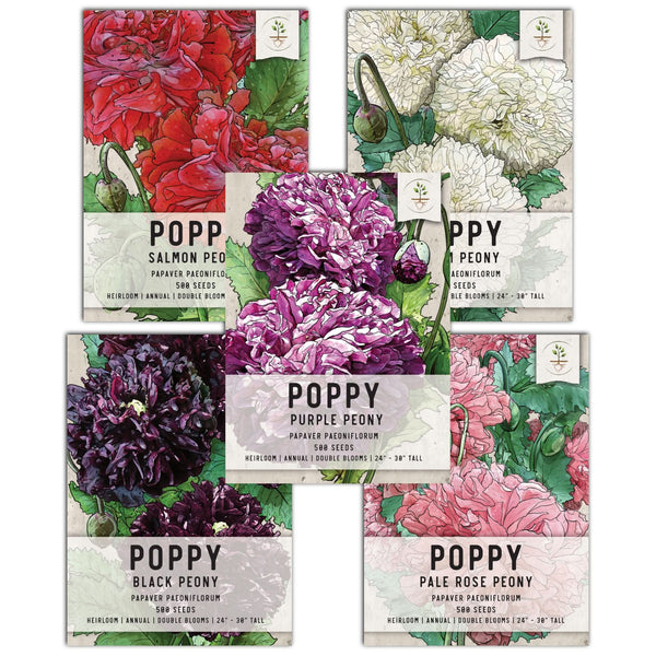 Peony Poppy Seed Collection