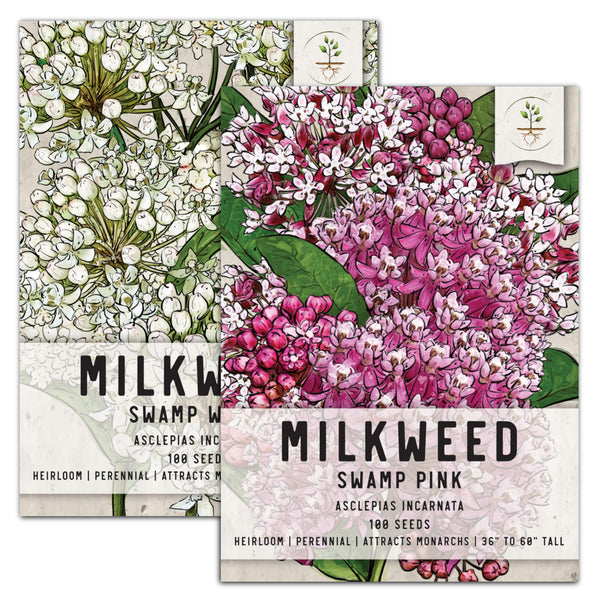 Swamp Milkweed Seed Packet Collection - Pink & White Milkweed Seeds For Planting