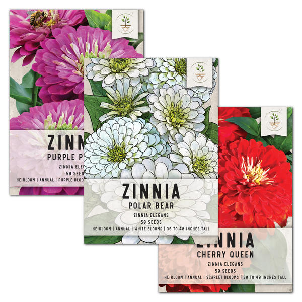 Zinnia Cut Flower Seed Packet Collection