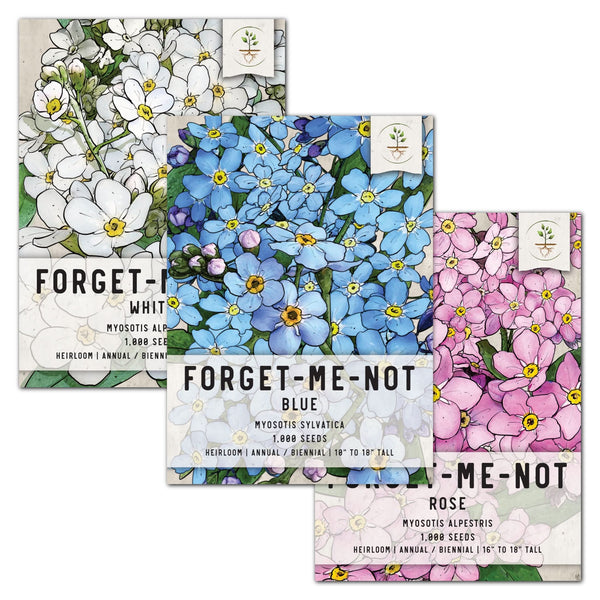 Forget-Me-Not Seed Packet Collection - Rose, White & Blue