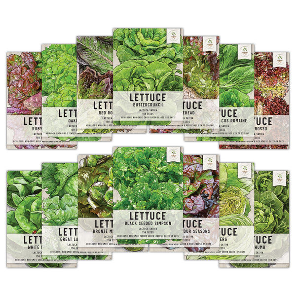 Lettuce Lovers Seed Collection (14 Pack)