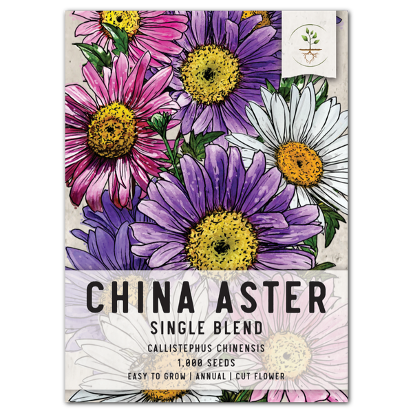 aster flower seeds online China Aster Seeds, Single Blend (Callistephus chinensis)