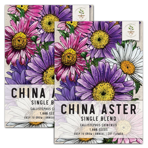 China Aster Seeds For Planting, Single Blend (Callistephus chinensis)