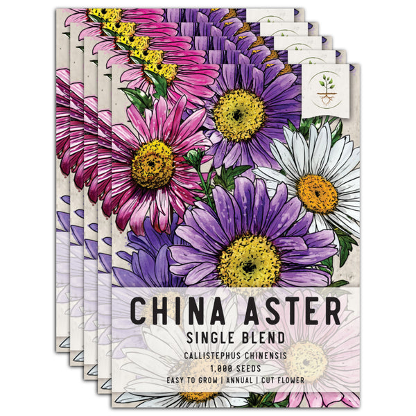 China Aster Seeds For Planting, Single Blend (Callistephus chinensis)