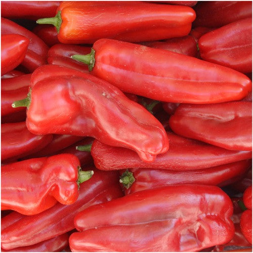 Anaheim Chili Pepper Seeds for planting