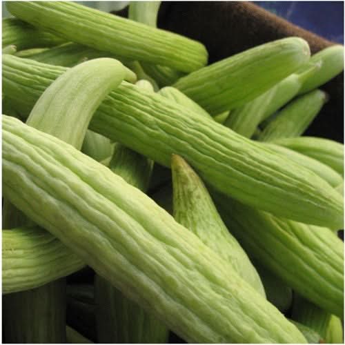 Armenian Yard Long Cucumber Seeds For Planting (Cucumis sativa)
