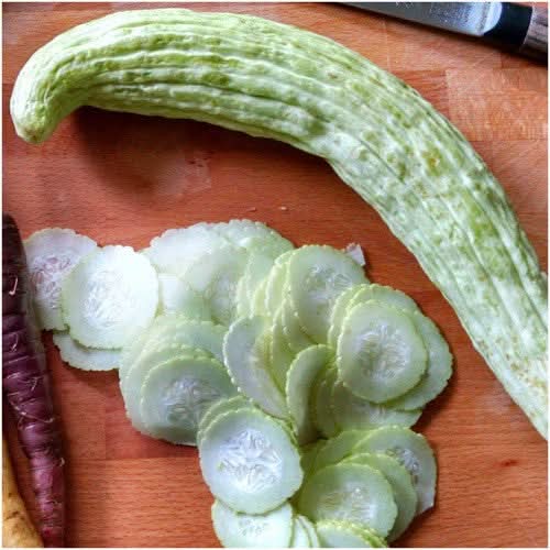 Armenian Yard Long Cucumber Seeds For Planting (Cucumis sativa)