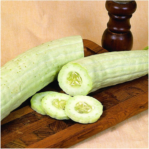 Armenian yard long cucumber