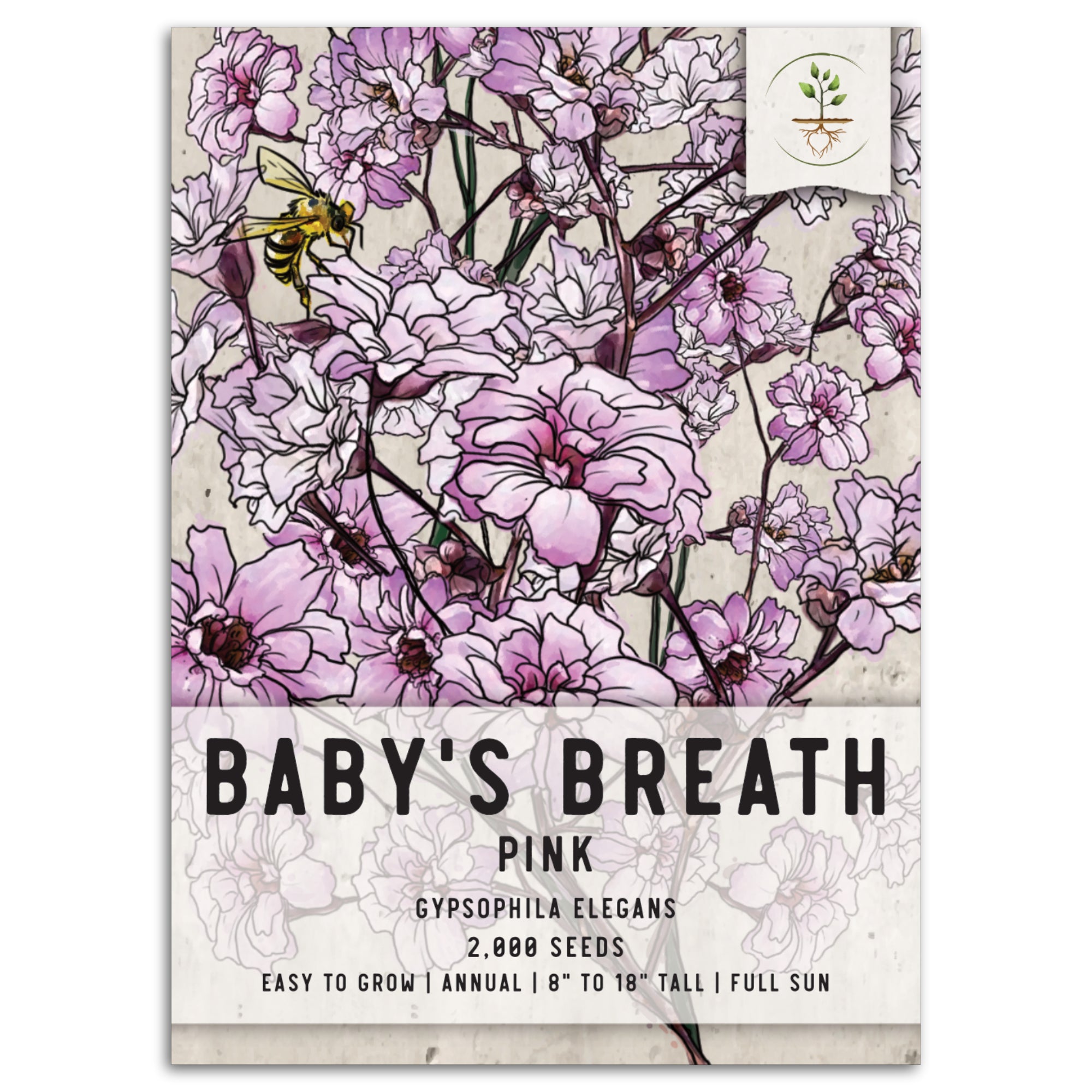 Pink Baby's Breath Seeds For Planting (Gypsophila elegans)