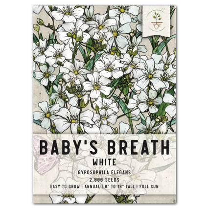 White Baby's Breath Seed For Planting (Gyposophila elegans) Seed Needs –  Seed Needs LLC