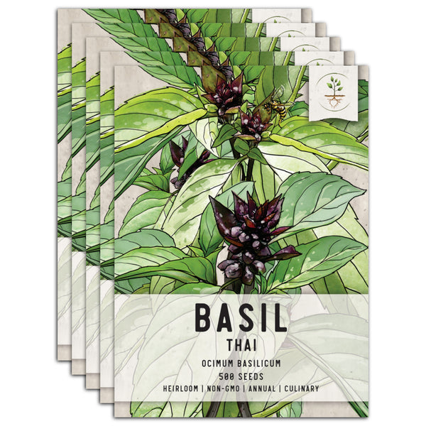 Thai Basil Seeds For Planting (Ocimum basilicum)
