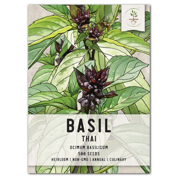 Thai Basil Seeds For Planting (Ocimum basilicum)