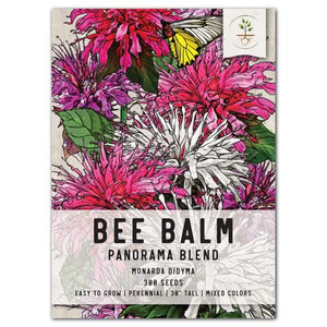 panorama blend bee balm seeds for planting