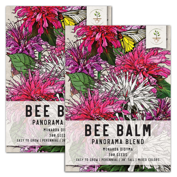 panorama blend bee balm seeds for planting