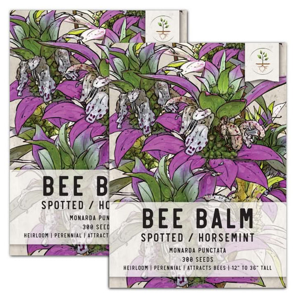 spotted bee balm horsemint seeds for planting