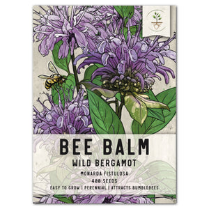 WILD BERGAMOT BEE BALM SEEDS FOR PLANTING