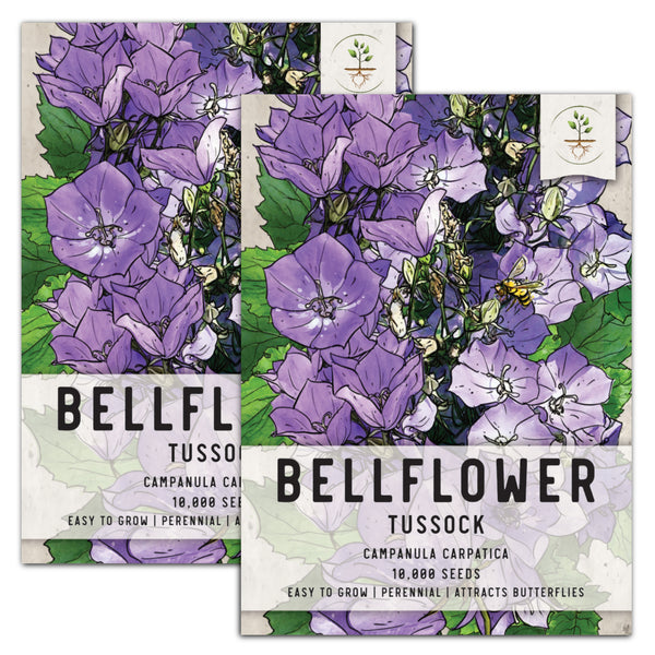 Tussock Bellflower Seeds For Planting (Campanula carpatica)