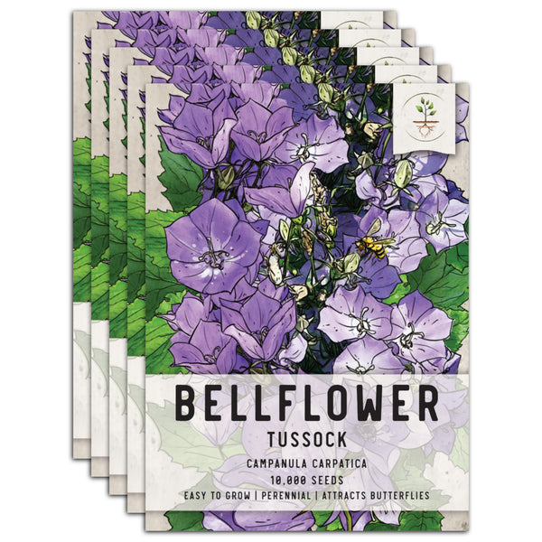 Tussock Bellflower Seeds For Planting (Campanula carpatica)