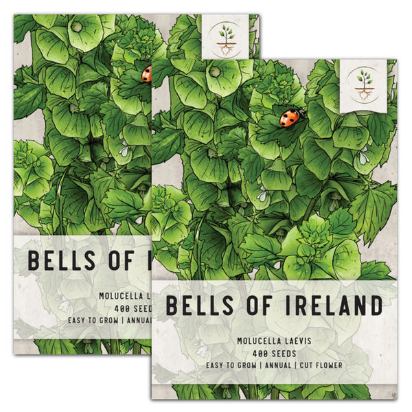 bells of ireland seeds for planting