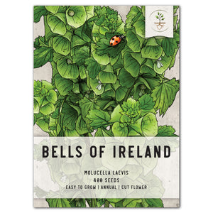 bells of ireland seeds for planting
