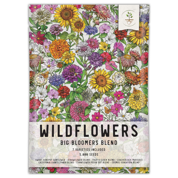 Big Bloomers Wildflower Seed Blend (7 Varieties Included)
