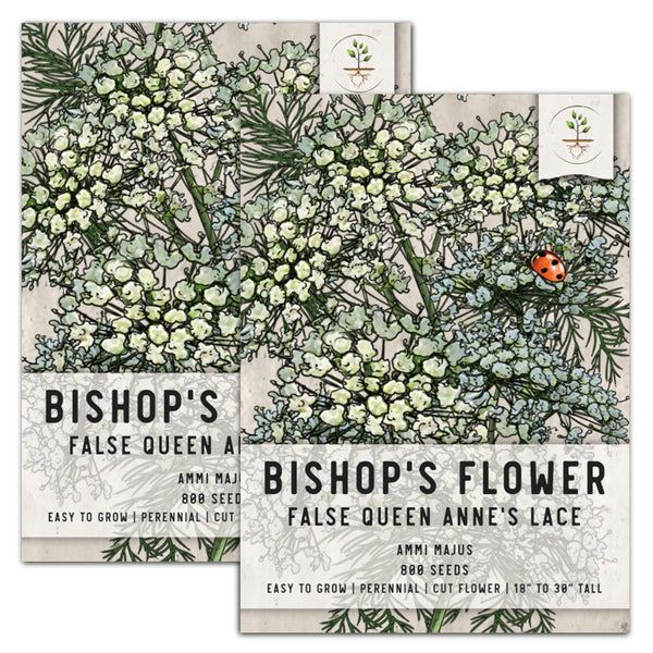 Bishop's Flower seeds for planting