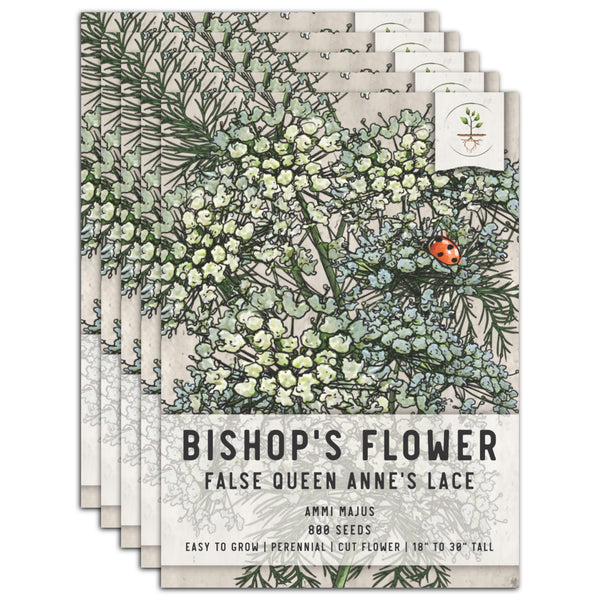 Bishop's Flower Seeds For Planting (Ammi majus)