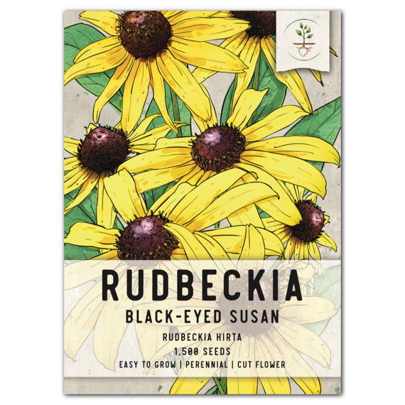 Black-Eyed Susan Seeds For Planting (Rudbeckia hirta)