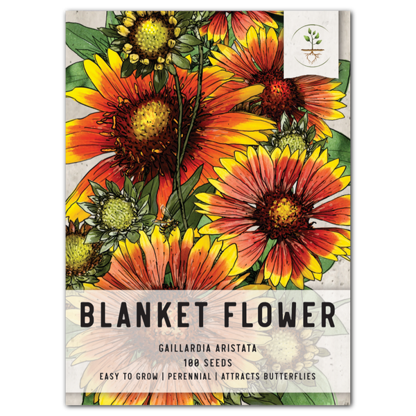 Blanket Flower Seeds For Planting (Gaillardia aristata)