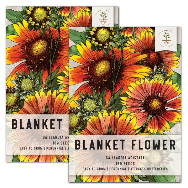 Blanket Flower Seeds For Planting (Gaillardia aristata)
