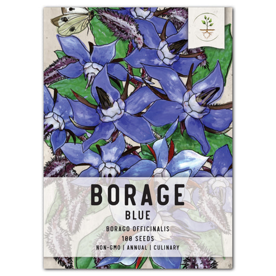 Blue Borage Seeds For Planting (Borago officinalis)