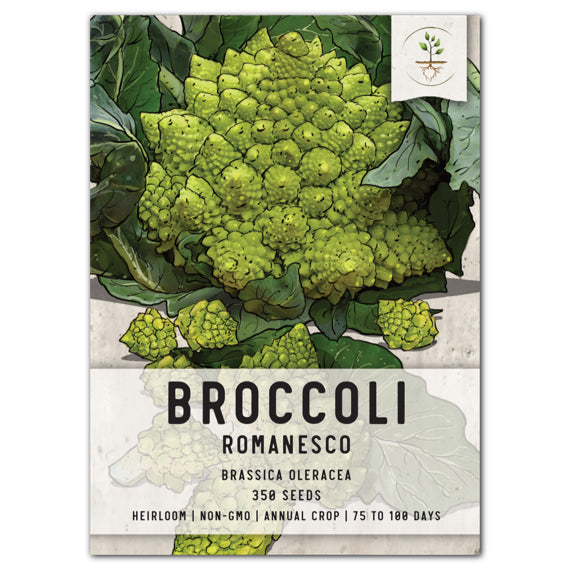 Romanesco Broccoli Seeds For Planting (Brassica oleracea)