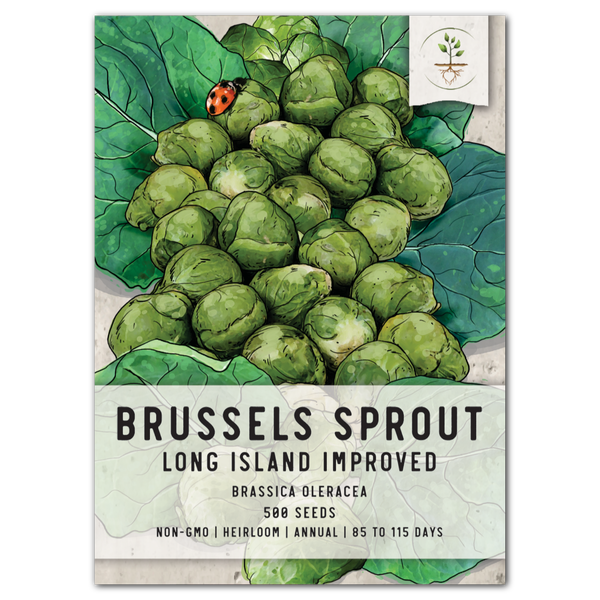 Brussels Sprout Seeds For Planting, Long Island Improved (Brassica oleracea)