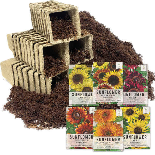 Sunflower Bundle (Includes 36 Starter Pots, 1 Coco Coir Brick & 6 Colorful Sunflower Seed Packets)