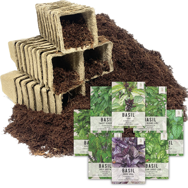 Basil Herb Bundle (Includes 36 Starter Pots, 1 Coco Coir Brick & 8 Basil Herb Seed Packets)