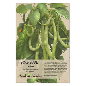 Blue Lake Pole Bean Seeds For Planting (Phaseolus vulgaris)