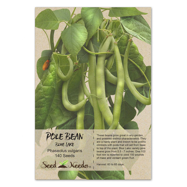 Blue Lake Pole Bean Seeds For Planting (Phaseolus vulgaris)