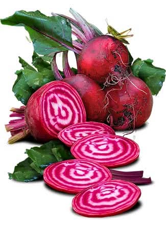 Chioggia Beet Seeds For Planting (Beta vulgaris)