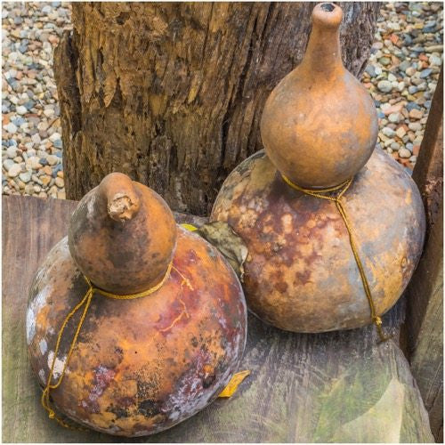 Bottle Gourd / Birdhouse Gourd Seeds For Planting (Lagenaria siceraria)
