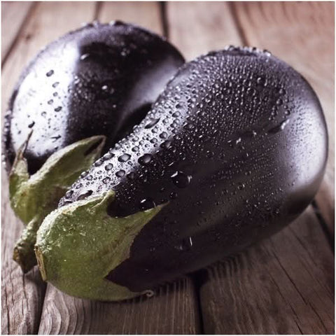 Black Beauty Eggplant Seeds For Planting (Solanum melongena)