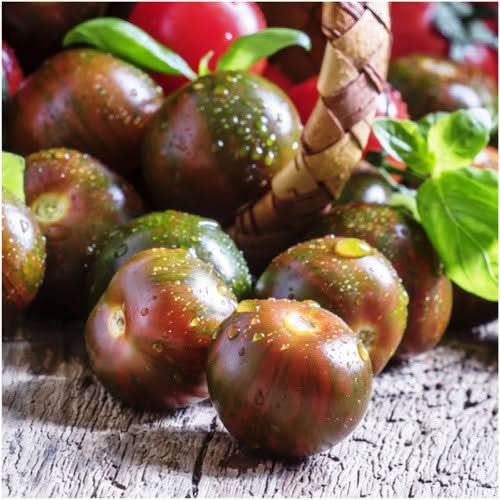 Black Cherry Tomato Seeds For Planting (Solanum lycopersicum)